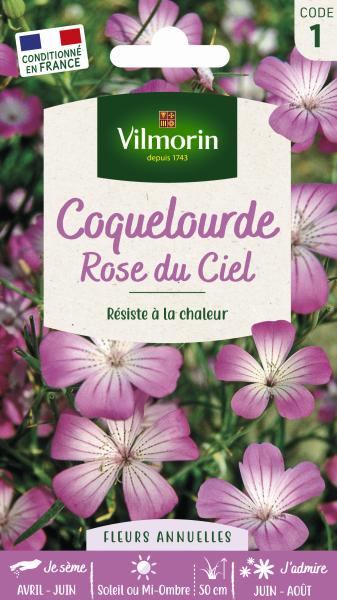 Fleurs - Coquelourde Rose du Ciel - face recto